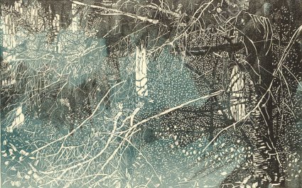 <U>Felled Branches 01</U>